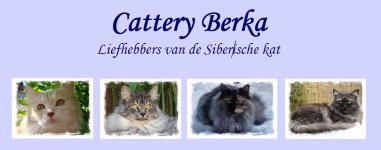 banner Cattery Berka